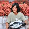 Hiệp Voi
