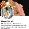 Phòng của Mỡ