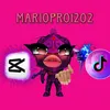 mariopro1202