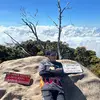 shulkecill