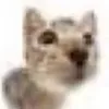frncvski_