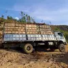 tokudamaxo
