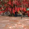 phuoc_dang1992