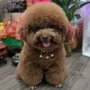 dinhtramy1603