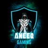 aneeqsiddiqui3