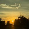 peemai2536