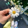 ayeshasamantha_09