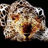 zain_khan755