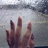 31246631321