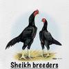 Sheikhbreeders