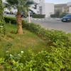 oum.ayma1