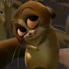 jungkooie_97