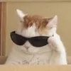 sophiaxkr