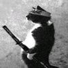 rinki_743