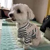 dooog.1021