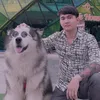 nguyendinhson79