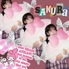sakuparu.m