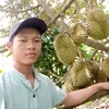 thanhluan262