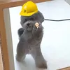 mmaaaaiiiii