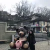 nini.osw