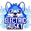 electrichusky