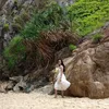 kimthao_28.10