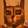 kakikukekony