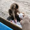 nyaman_banar153