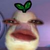 🐣