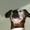 _lickitysplit_