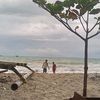 estuanbiya123