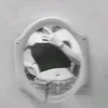 daovozz