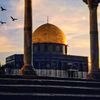 naznazmustafa