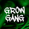 team_grow_gang