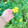 khongnho888999