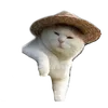 umeiknow
