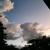 user.sf08