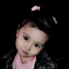rayya01822
