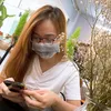 Dế Kiến