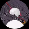 andreoco17