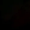 loris_caperna