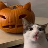 hello_kitty_ishita