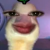 anggedllr