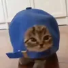 vvrlmv