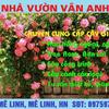 nha_vuon_van_anh