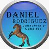 ganadería y caballos