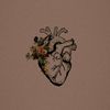 naaz_ahmed.1