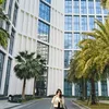 di_lam_ngay