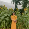vohoanglong185