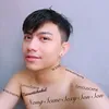 limouscene
